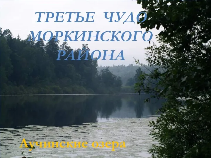Лучинские озера ТРЕТЬЕ ЧУДО МОРКИНСКОГО РАЙОНА