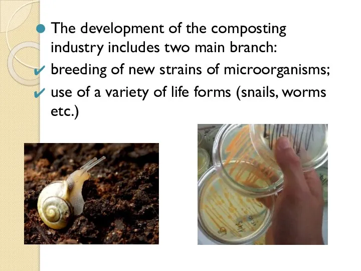 The development of the composting industry includes two main branch: breeding of