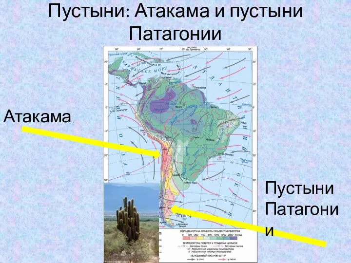 Пустыни: Атакама и пустыни Патагонии Атакама Пустыни Патагонии