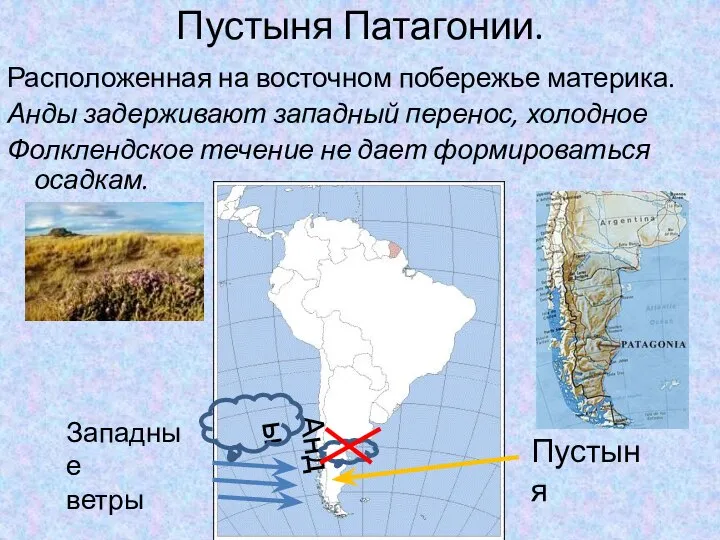 Пустыня Патагонии. Расположенная на восточном побережье материка. Анды задерживают западный перенос, холодное