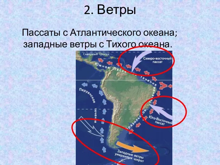 2. Ветры Пассаты с Атлантического океана; западные ветры с Тихого океана.