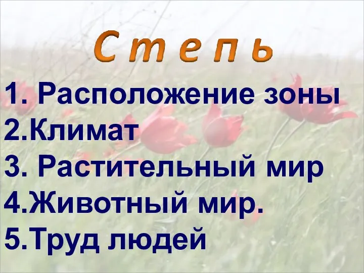 1. Расположение зоны 2.Климат 3. Растительный мир 4.Животный мир. 5.Труд людей