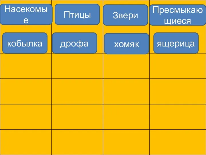 Насекомые Птицы Звери Пресмыкающиеся кобылка дрофа хомяк ящерица