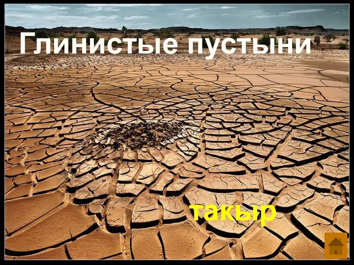 Глинистые пустыни такыр