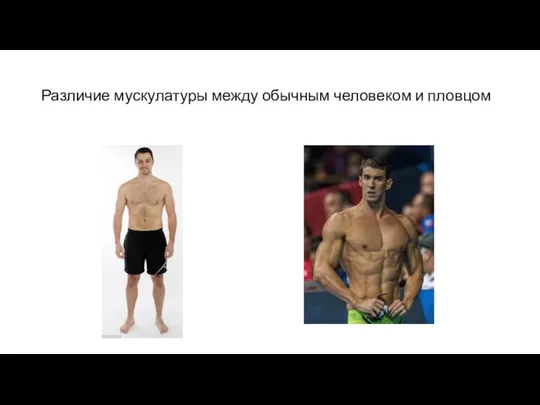 Различие мускулатуры между обычным человеком и пловцом