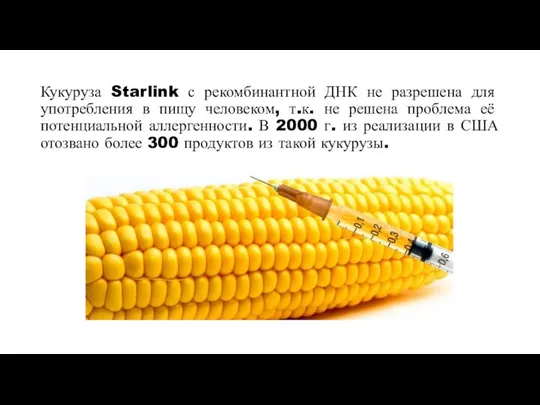 Кукуруза Starlink с рекомбинантной ДНК не разрешена для употребления в пищу человеком,