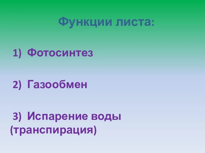 Функции листа: 1) Фотосинтез 2) Газообмен 3) Испарение воды (транспирация)