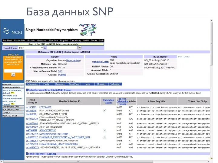 База данных SNP