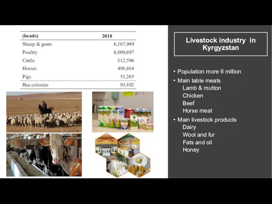 Livestock industry in Kyrgyzstan Population more 6 million Main table meats Lamb