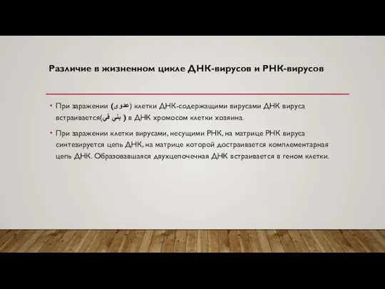 Различие в жизненном цикле ДНК-вирусов и РНК-вирусов При заражении (عدوى) клетки ДНК-содержащими