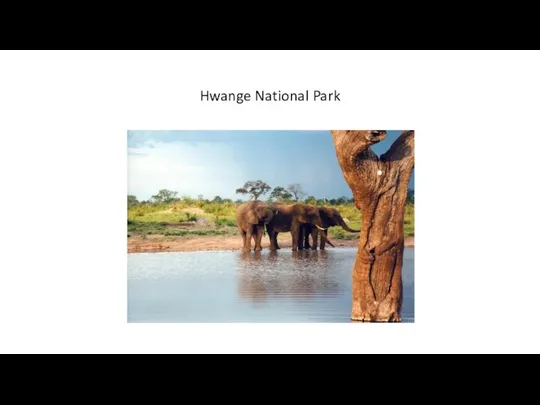 Hwange National Park