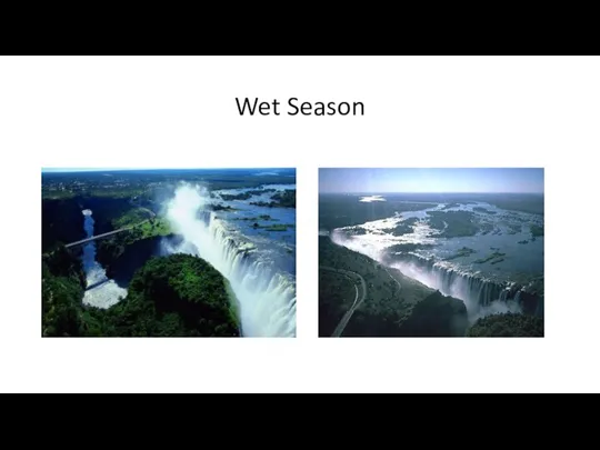 Wet Season