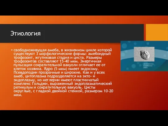 Этиология свободноживущая амеба, в жизненном цикле которой существуют 3 морфологические формы: амебоидный