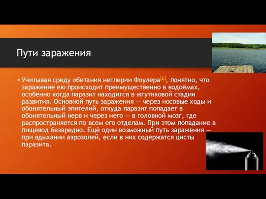 Пути заражения Учитывая среду обитания неглерии Фоулера[6], понятно, что заражение ею происходит