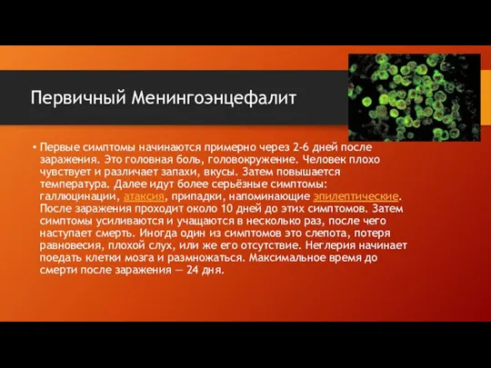 Первичный Менингоэнцефалит Первые симптомы начинаются примерно через 2-6 дней после заражения. Это