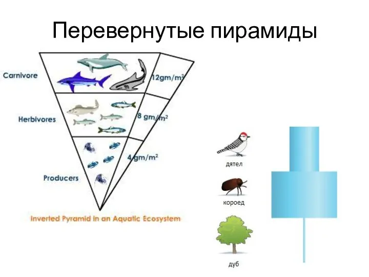 Перевернутые пирамиды