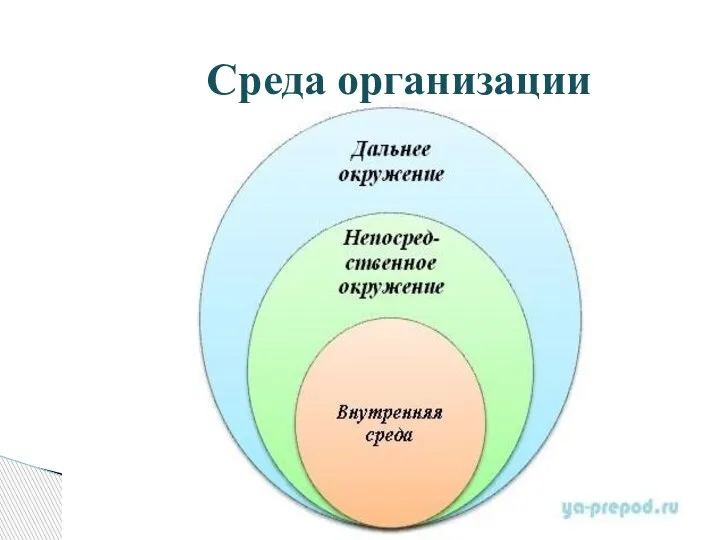 Среда организации