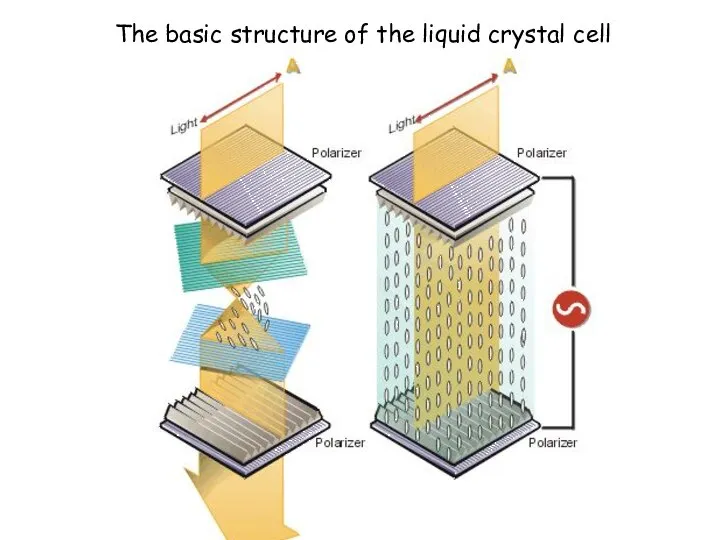 The basic structure of the liquid crystal cell