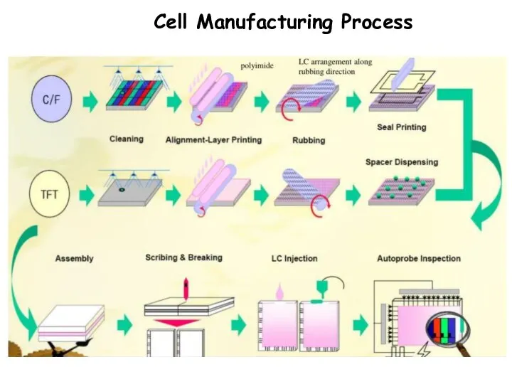 Cell Manufacturing Process