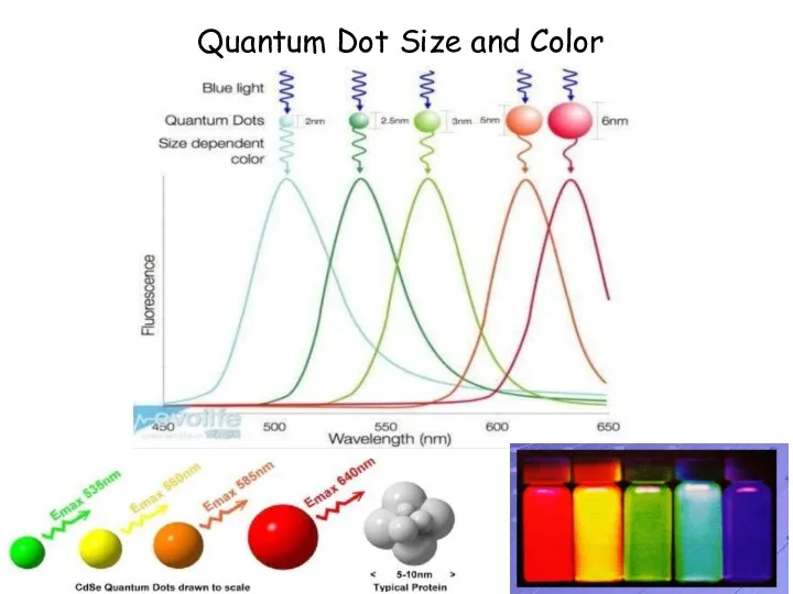 Quantum Dot Size and Color