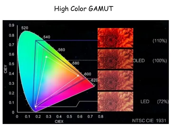 High Color GAMUT