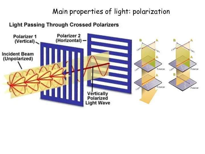 Main properties of light: polarization