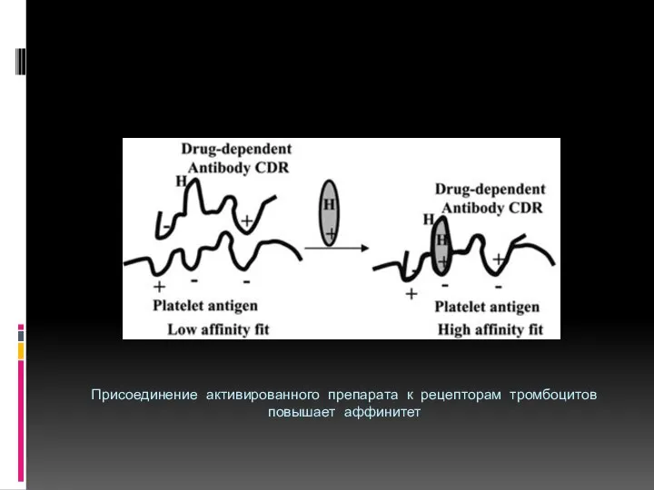 Присоединение активированного препарата к рецепторам тромбоцитов повышает аффинитет