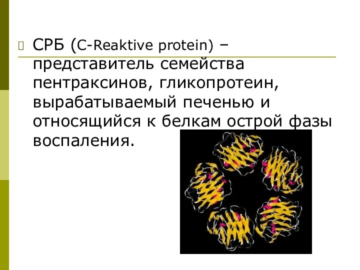 СРБ (C-Reaktive protein) – представитель семейства пентраксинов, гликопротеин, вырабатываемый печенью и относящийся