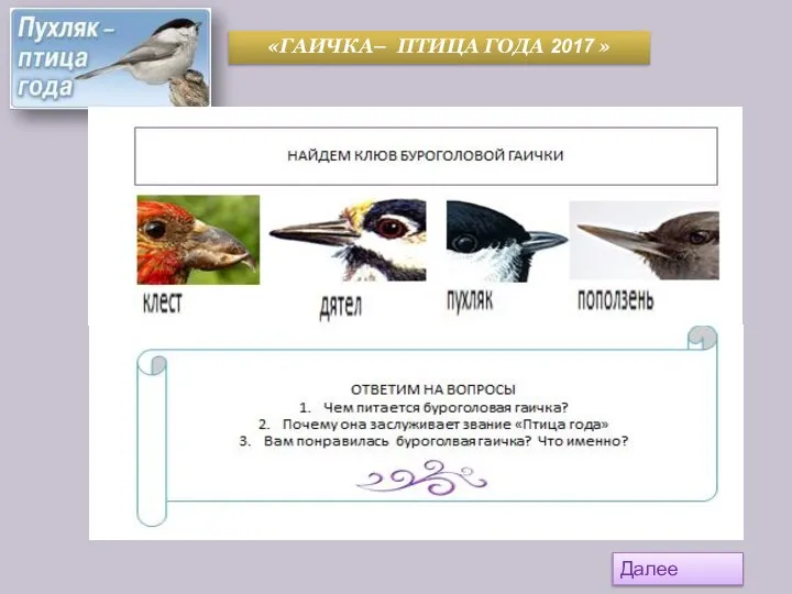 «ГАИЧКА– ПТИЦА ГОДА 2017 » Далее