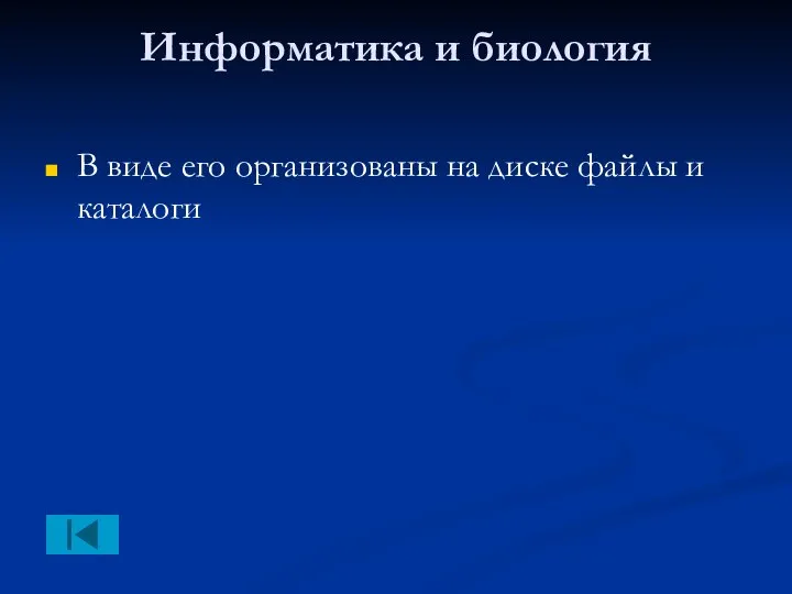 Информатика и биология В виде его организованы на диске файлы и каталоги