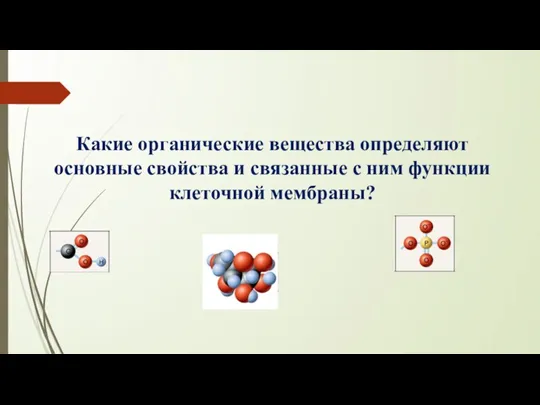 Какие органические вещества определяют основные свойства и связанные с ним функции клеточной мембраны?