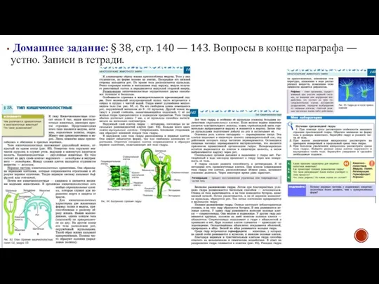 Домашнее задание: § 38, стр. 140 — 143. Вопросы в конце параграфа