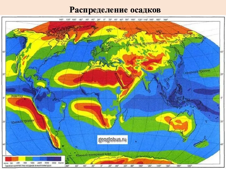 Распределение осадков