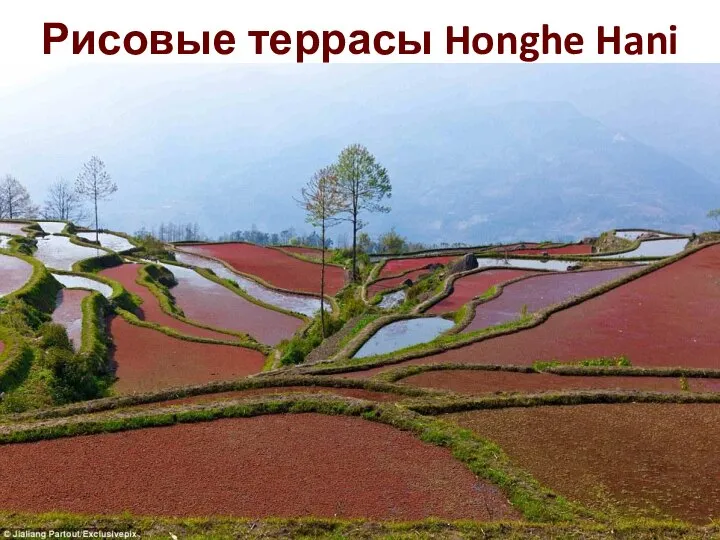 Рисовые террасы Honghe Hani