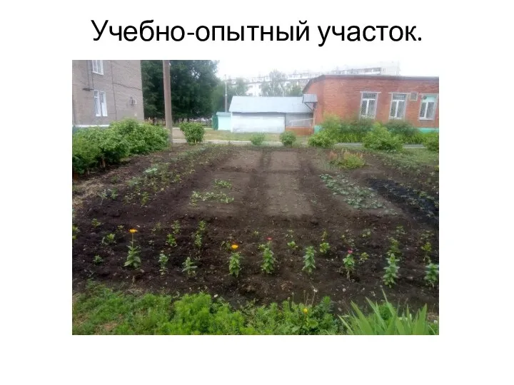 Учебно-опытный участок.