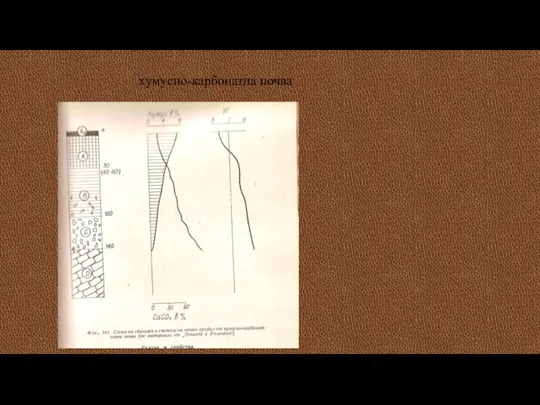 хумусно-карбонатна почва
