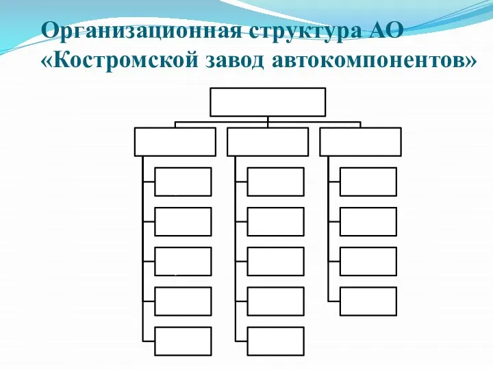 Организационная структура АО «Костромской завод автокомпонентов»