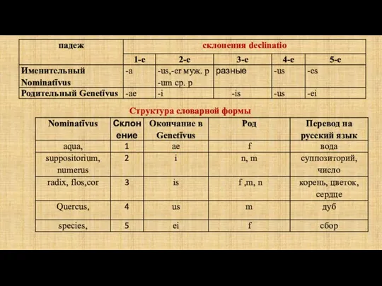 Структура словарной формы