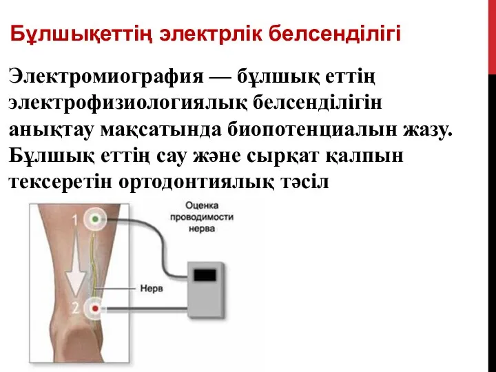 Электромиография — бұлшық еттің электрофизиологиялық белсенділігін анықтау мақсатында биопотенциалын жазу. Бұлшық еттің