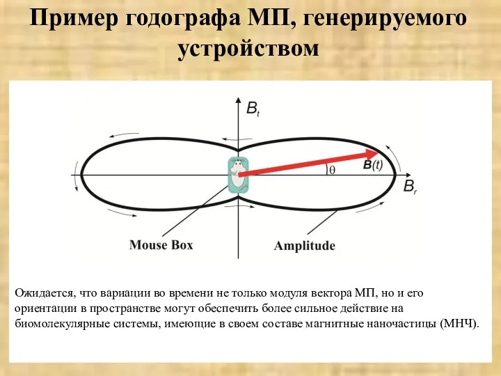 Пример годографа МП, генерируемого устройством Ожидается, что вариации во времени не только