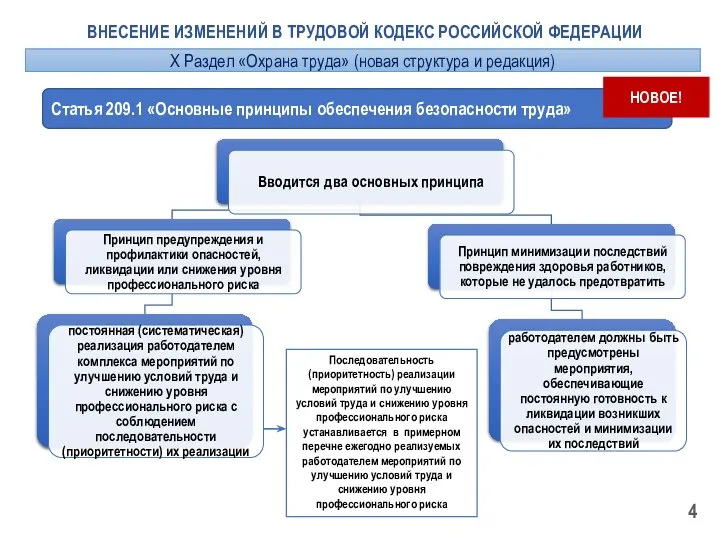 ВНЕСЕНИЕ ИЗМЕНЕНИЙ В ТРУДОВОЙ КОДЕКС РОССИЙСКОЙ ФЕДЕРАЦИИ Статья 209.1 «Основные принципы обеспечения