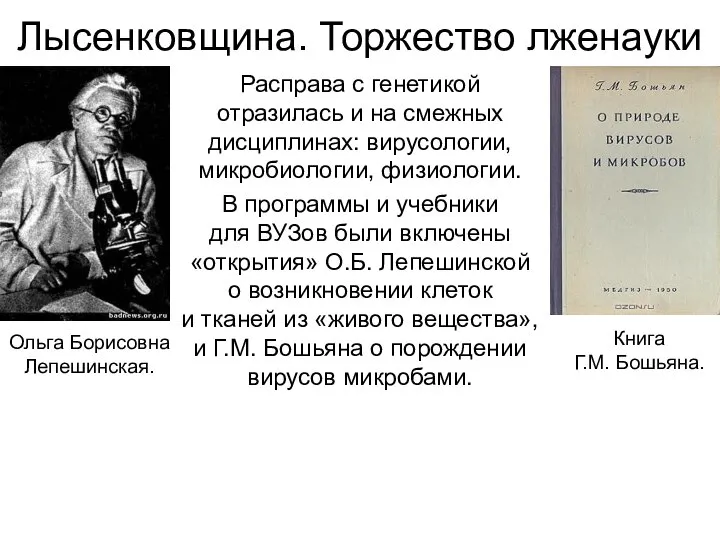 Лысенковщина. Торжество лженауки Расправа с генетикой отразилась и на смежных дисциплинах: вирусологии,