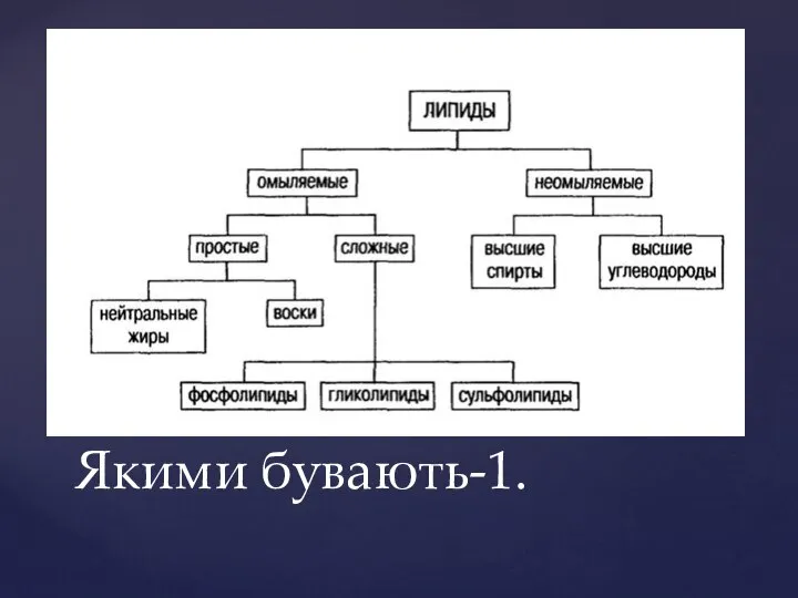 Якими бувають-1.