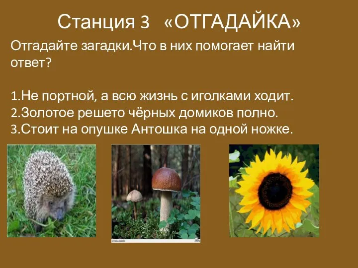 Станция 3 «ОТГАДАЙКА» Отгадайте загадки.Что в них помогает найти ответ? 1.Не портной,