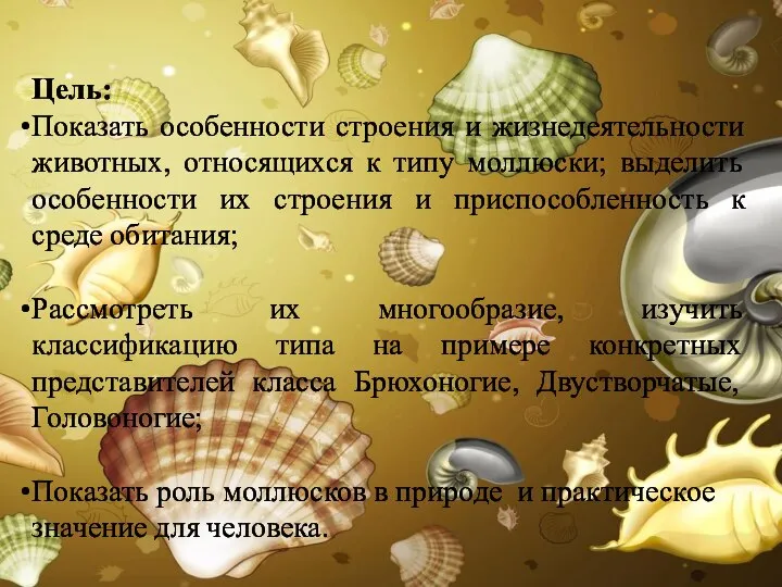 Цель: Показать особенности строения и жизнедеятельности животных, относящихся к типу моллюски; выделить