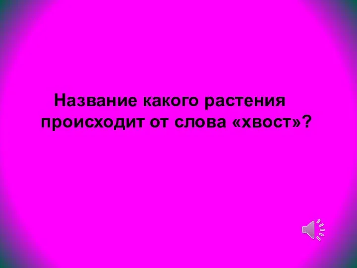 Название какого растения происходит от слова «хвост»?