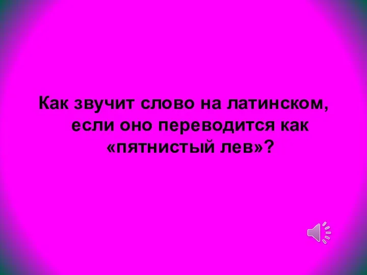 Как звучит слово на латинском, если оно переводится как «пятнистый лев»?