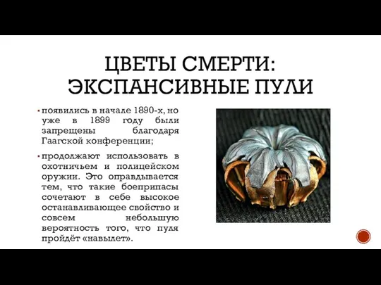 ЦВЕТЫ СМЕРТИ: ЭКСПАНСИВНЫЕ ПУЛИ появились в начале 1890-х, но уже в 1899