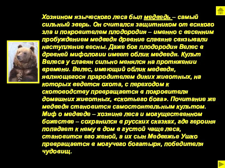 Хозяином языческого леса был медведь – самый сильный зверь. Он считался защитником