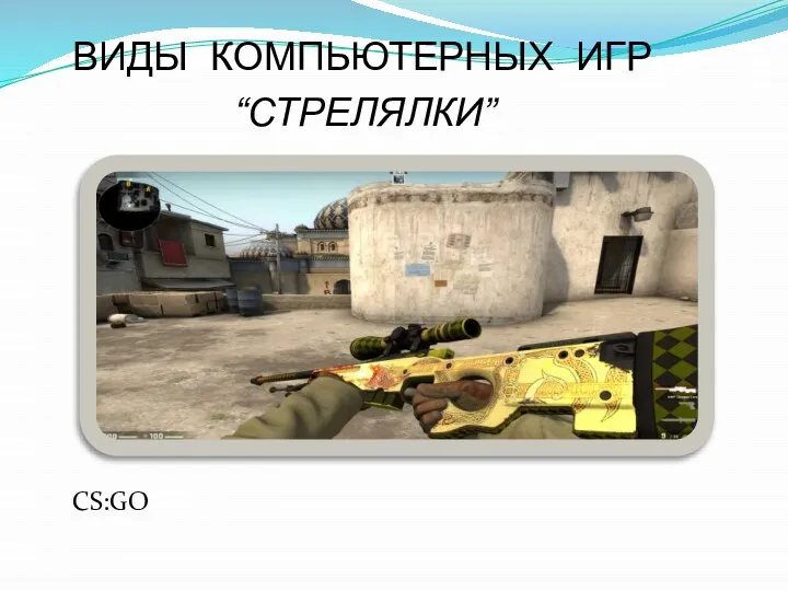 ВИДЫ КОМПЬЮТЕРНЫХ ИГР “СТРЕЛЯЛКИ” CS:GO